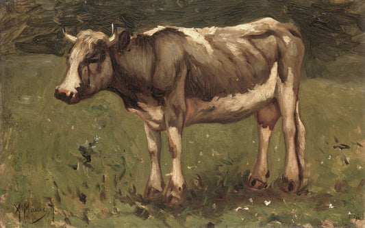 Koe, 1860 by Anton Mauve - Boxed Canvas