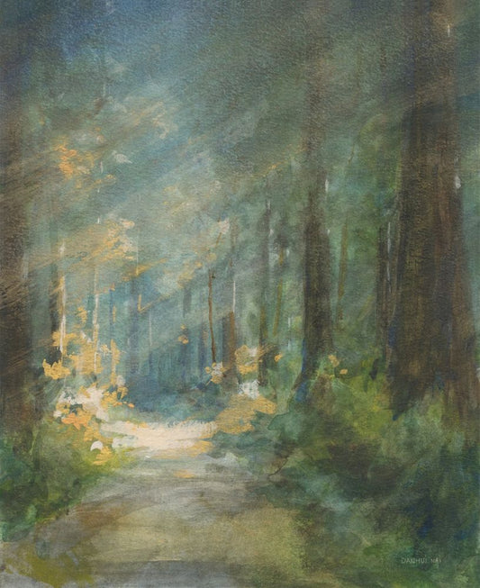 Sun Soaked Redwoods Boxed Canvas