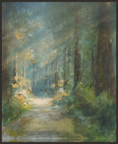 Sun Soaked Redwoods on Canvas