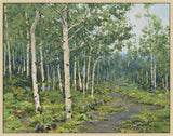 Aspen on Canvas
