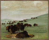 Buffalo in the Mud on Canvas