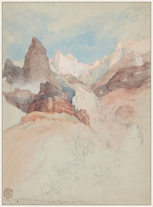 Looking up the Trail on Canvas