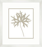 GRAPHIC STEM IN TAUPE Ill