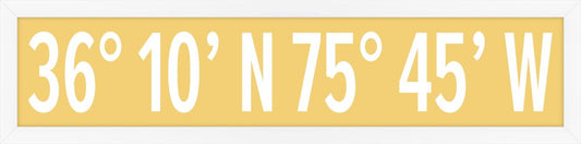 Duck  Coordinates in Lemon Drop