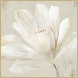 Awakenings II on Canvas