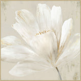 Awakenings II on Canvas Grande