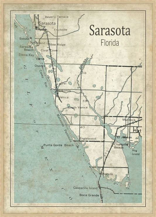 Sarasota Light Teal and Beige