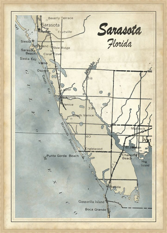 Sarasota Light Blue and Off White