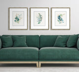 Eucalyptus Cluster, Set of Three