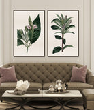 Amaranthine III Petite