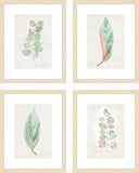Florida Leaves (Set of 4)