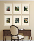 Temple of Flora VIII