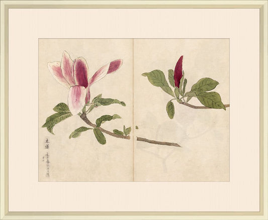 Sketchbook Flowers I