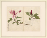 Sketchbook Flowers I