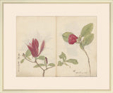 Sketchbook Flowers II