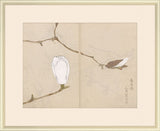 Sketchbook flowers in White  I