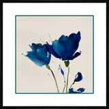 Blue flower II