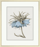 Taupe and Blue Flower I