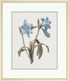 Taupe and Blue Flower II