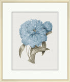 Taupe and Blue Flower III