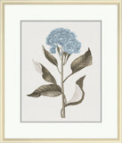 Taupe and Blue Flower IV