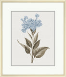 Taupe and Blue Flower V