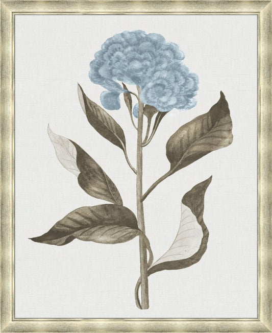 Taupe and Blue Flower IV Grande