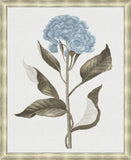 Taupe and Blue Flower IV Grande
