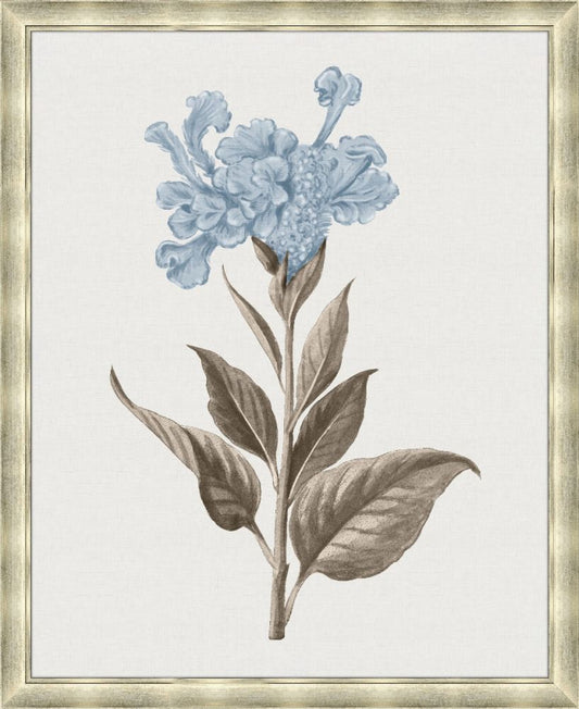 Taupe and Blue Flower V Grande