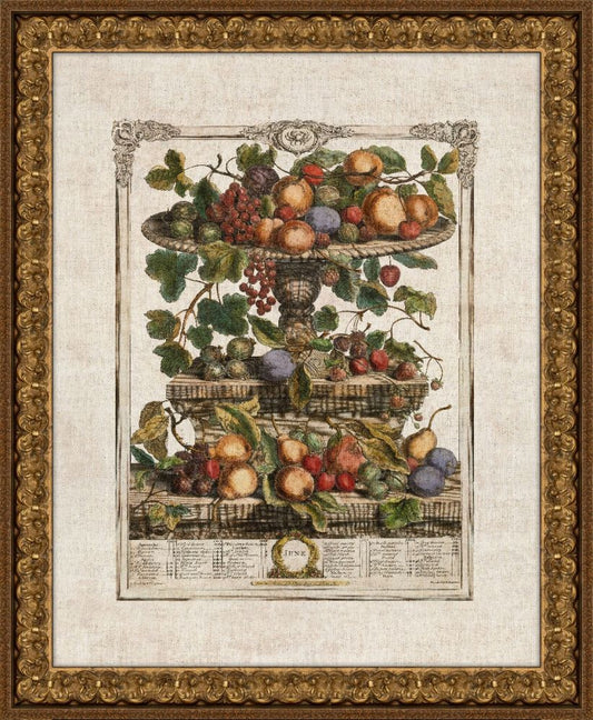 Twelve Months of Fruit : June Henry Fletcher. 1732