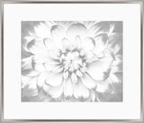 Subtle Gray Flowers I