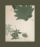 Maple Leaves I