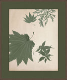 Maple Leaves II