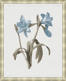 Taupe and Blue Flower II Grande