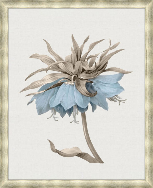Taupe and Blue Flower I Grande