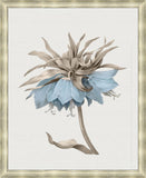 Taupe and Blue Flower I Grande