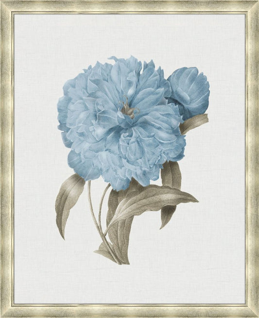 Taupe and Blue Flower III Grande