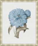 Taupe and Blue Flower III Grande