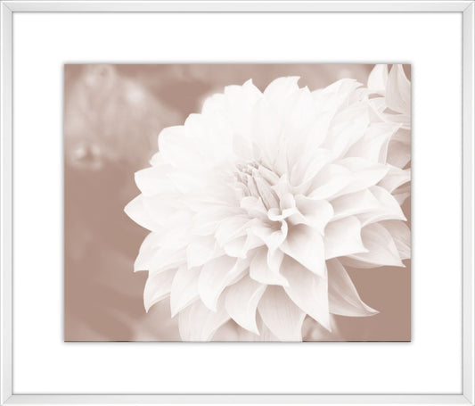 Oak Brown Flowers II