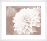 Oak Brown Flowers II