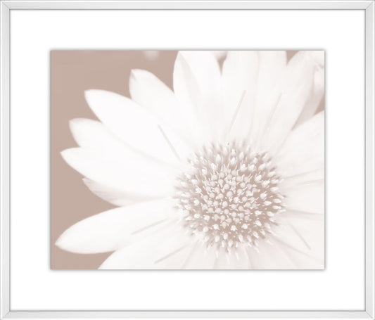 Oak Brown Flowers III