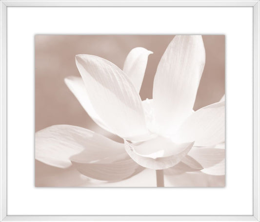 Oak Brown Flowers IV