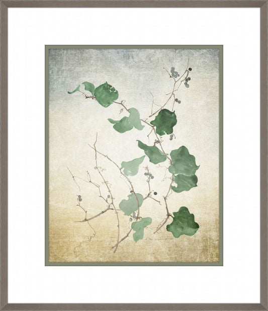 Study of Clematis Vines and Blue Berries  I   Sophia L. Crownfield