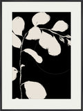 Botanical Silhouette I