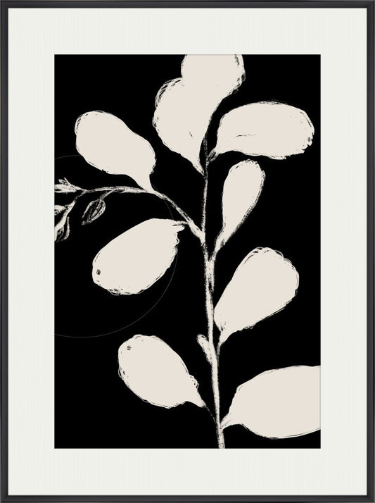 Botanical Silhouette II