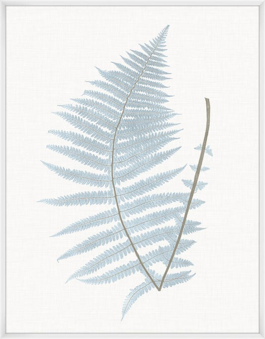 Still Water Ferns Grande II