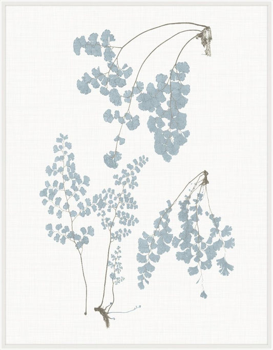 Still Water Ferns Grande VII