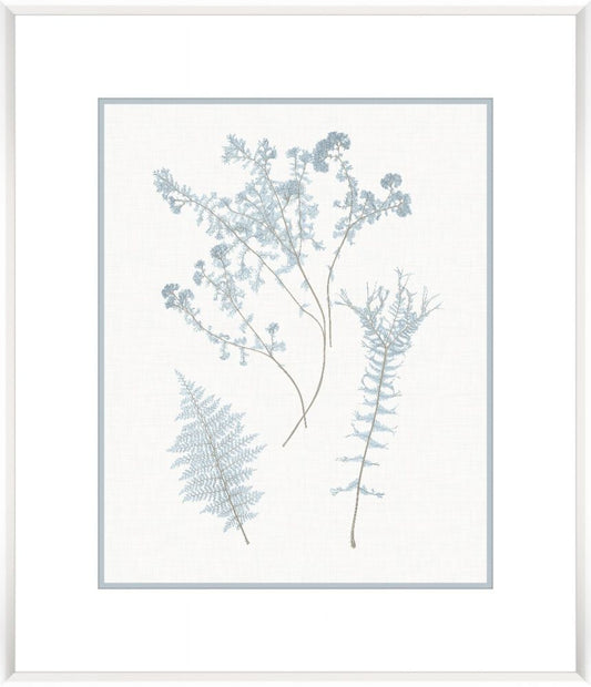 Stillwater Ferns VII 