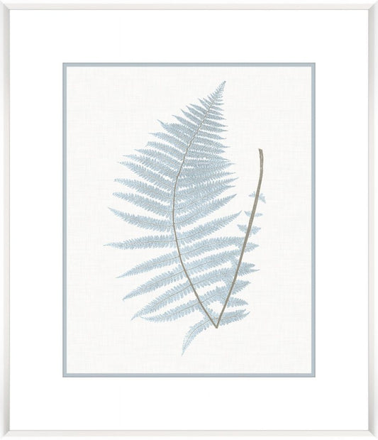 Stillwater Ferns VIII 