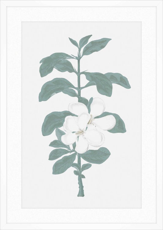 Green & White Blooms I